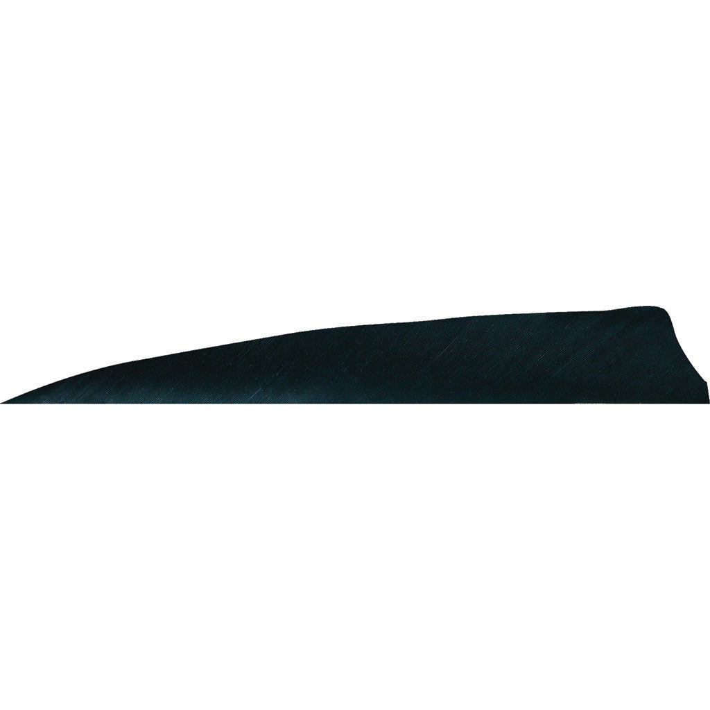 Gateway Shield Cut Feathers Black 4 in. RW 50 pk.