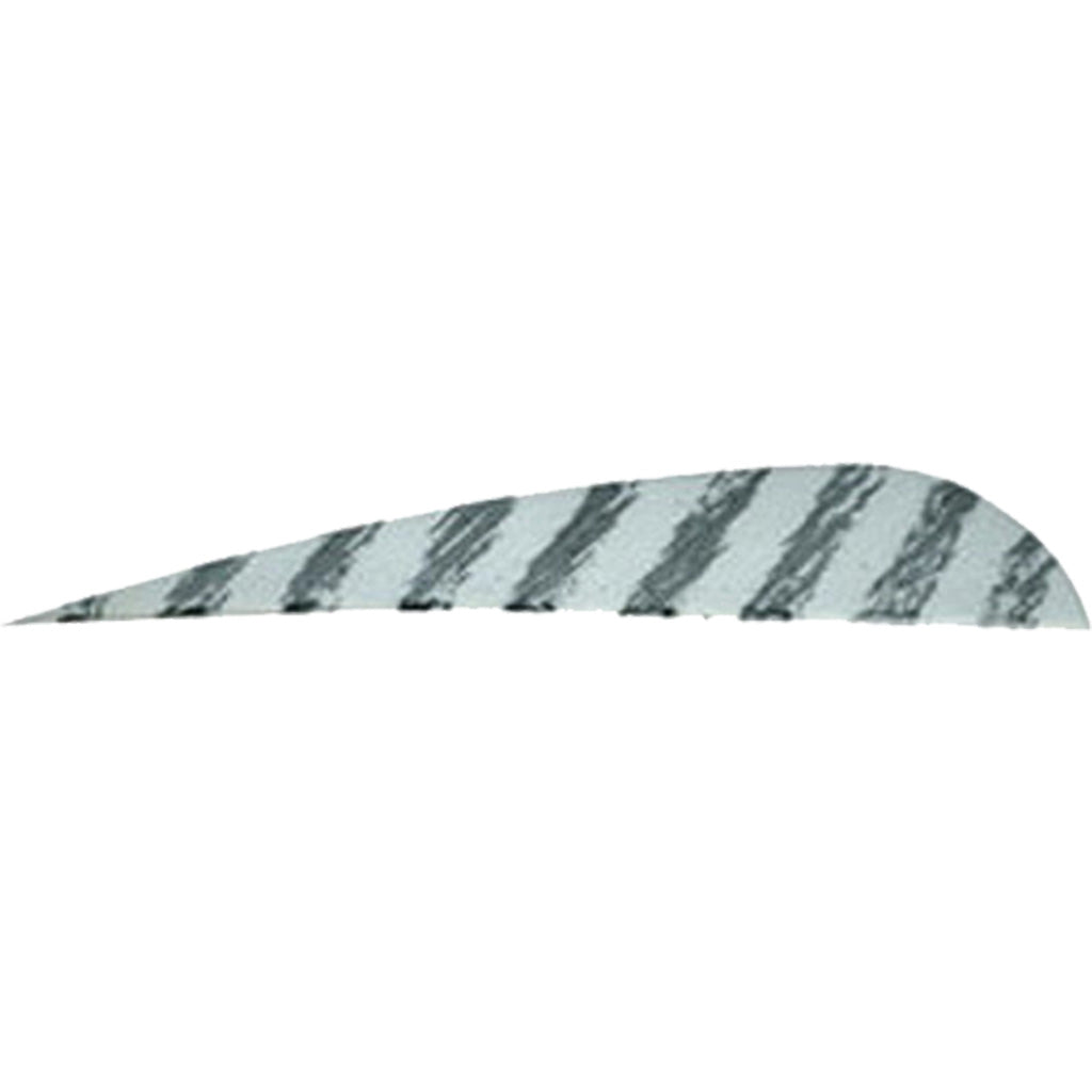 6.9E+11_47886909636859