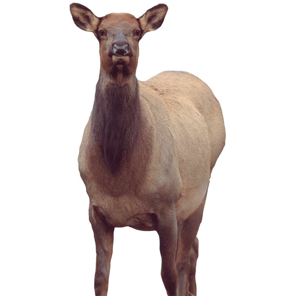 7.00E+11_47800456675579