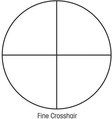 239318431.webp