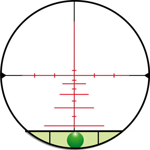 239341681.webp