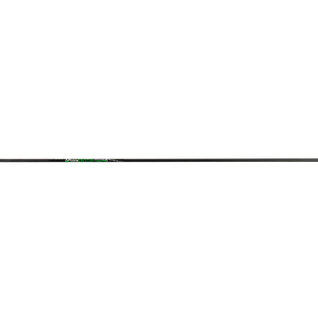 245782293.jpg