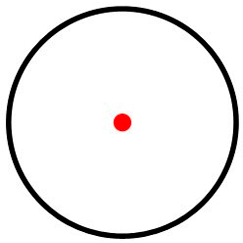 245783311.jpg