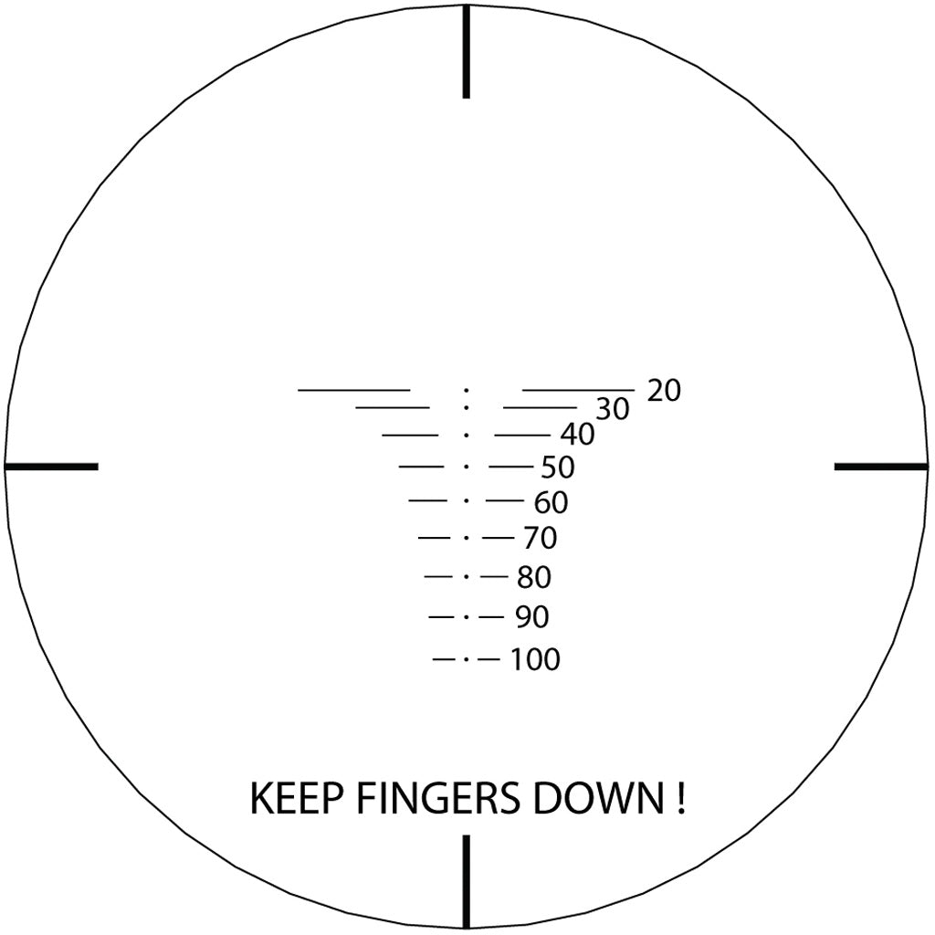 245796235.jpg