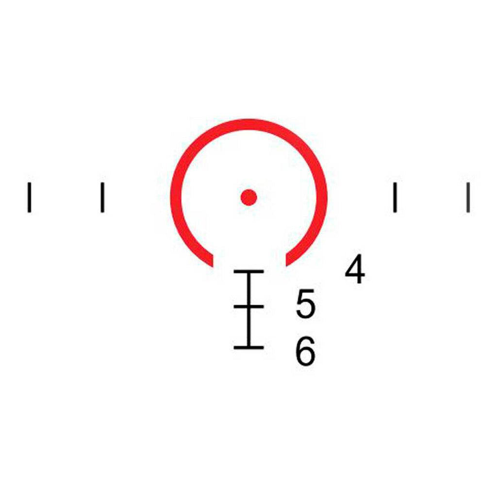 049818216241