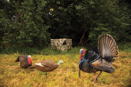 Primos Double Bull Stakeout W/ - Surroundview 59"w X 37"h Truth