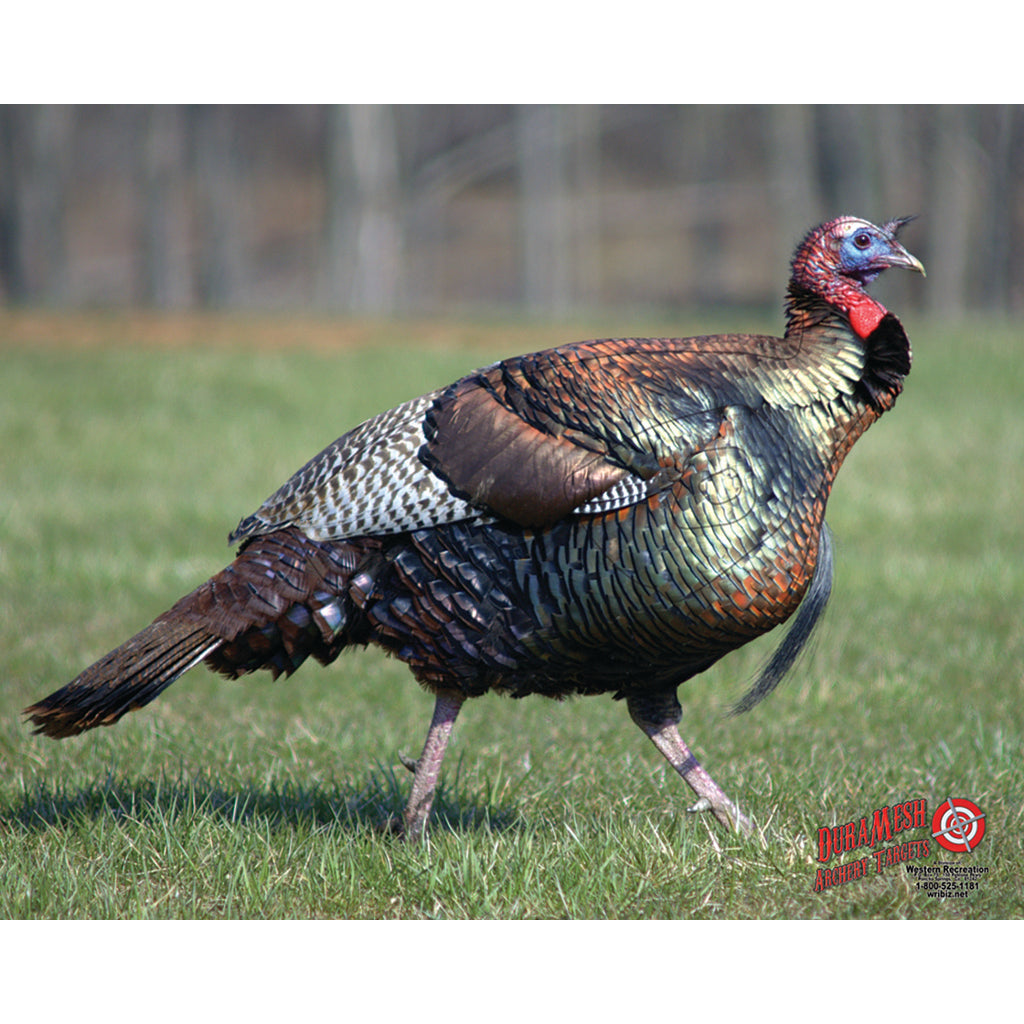 DuraMesh Archery Target Turkey 25 in. x 32 in.