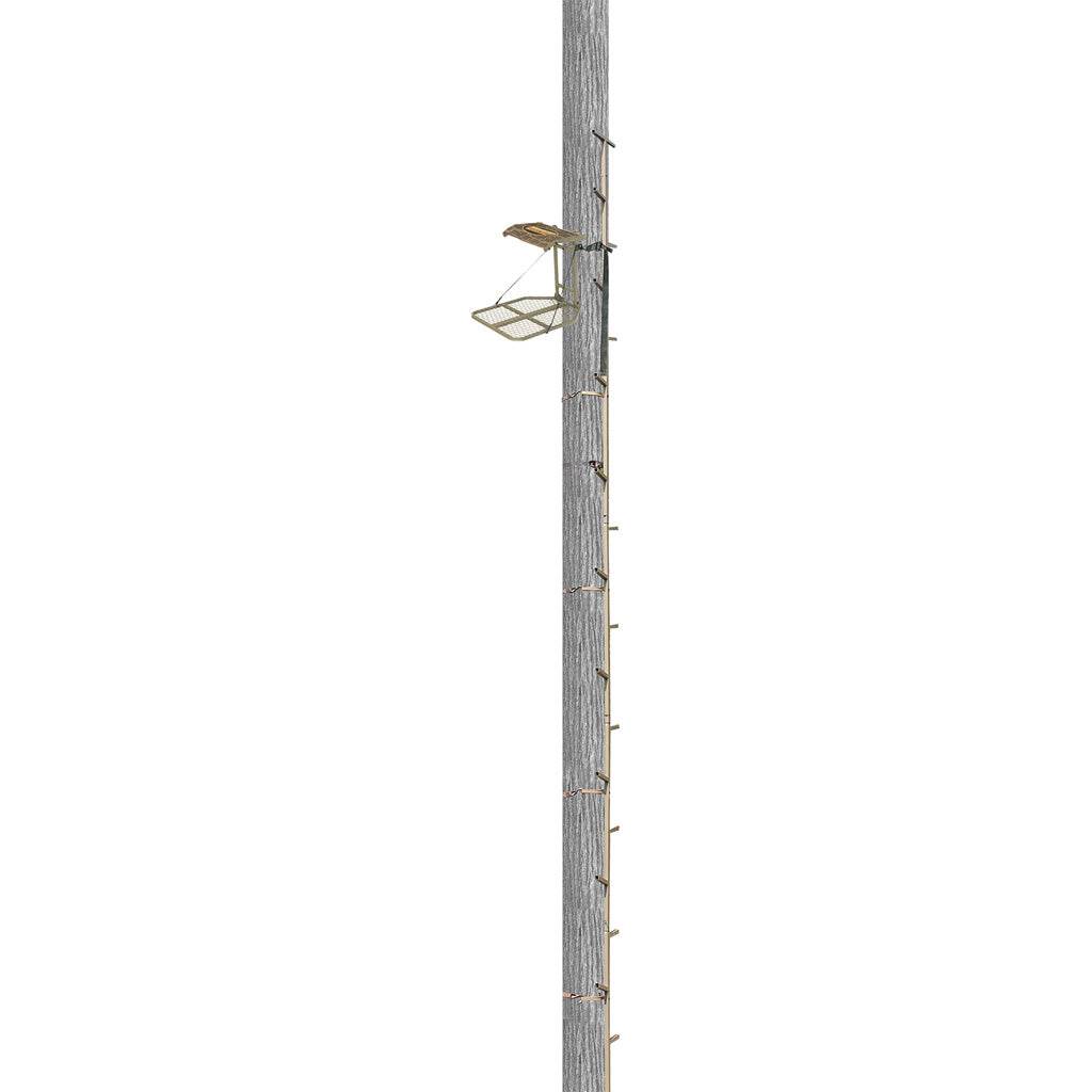 7.34E+11_47883990565115