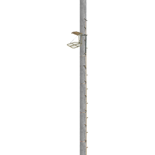 7.34E+11_47883990565115