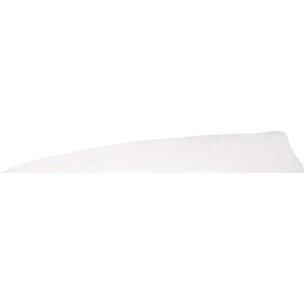 Gateway Shield Cut Feathers Flo White 4 in. LW 50 pk.