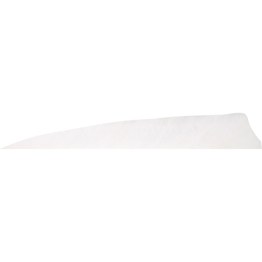 Gateway Shield Cut Feathers Flo White 4 in. LW 50 pk.