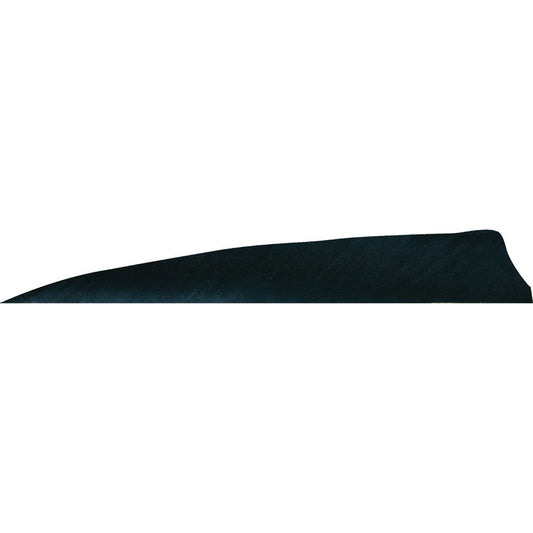 Gateway Shield Cut Feathers Black 4 in. RW 50 pk.