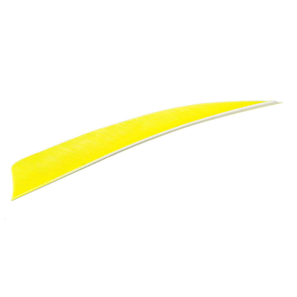 Trueflight Shield Cut Feathers Chartreuse 4 in. LW 100 pk.