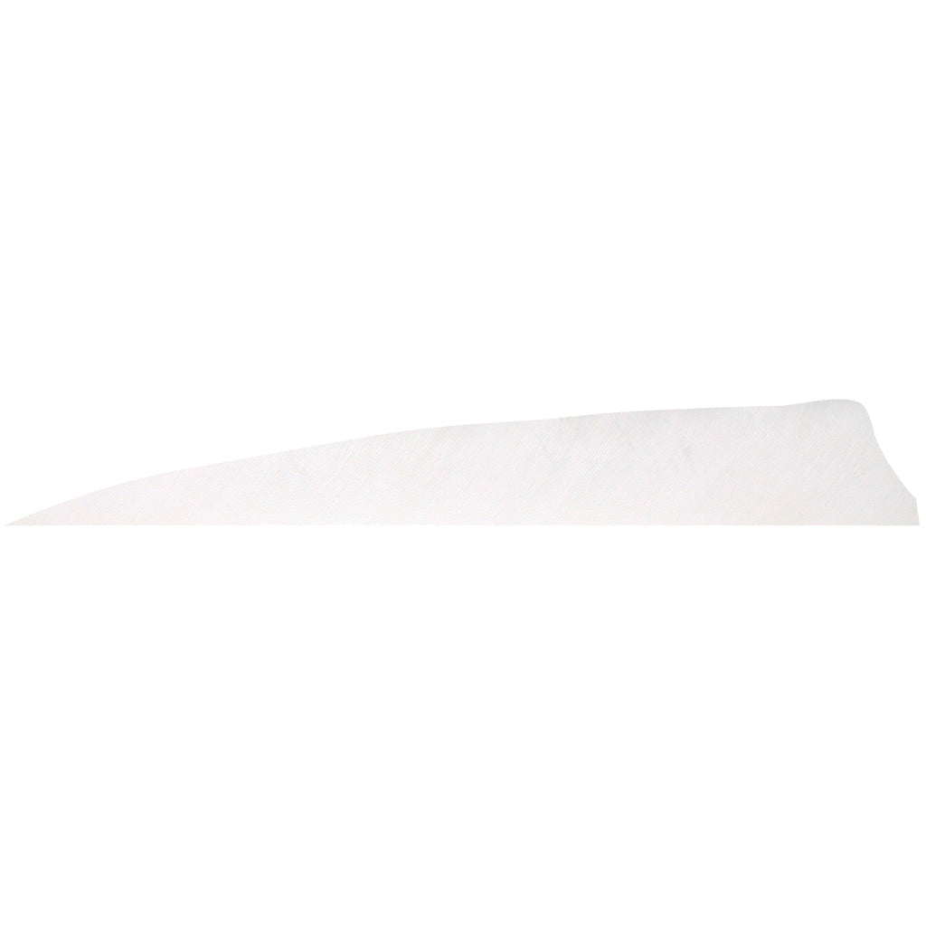 Gateway Shield Cut Feathers White 4 in. RW 100 Pk.