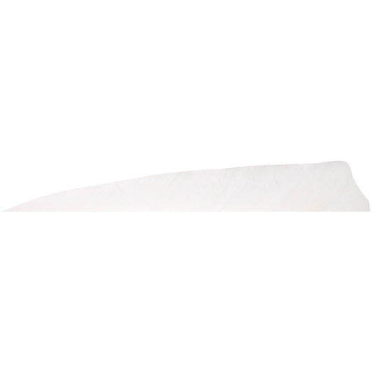 Gateway Shield Cut Feathers White 4 in. RW 100 Pk.