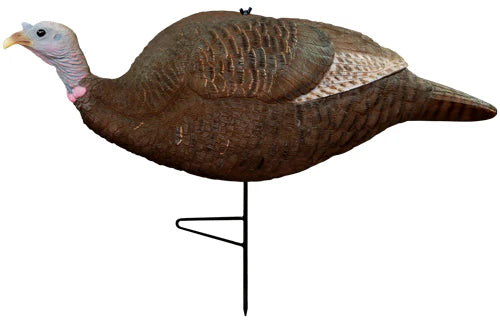 239241052.webp