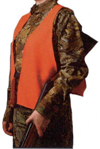 239306095.webp