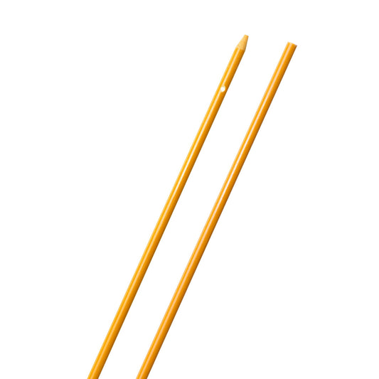 245771125.jpg