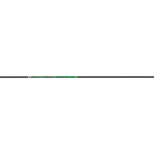 245781878.jpg