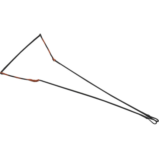 245786897.jpg