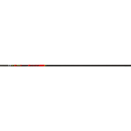 245791108.jpg