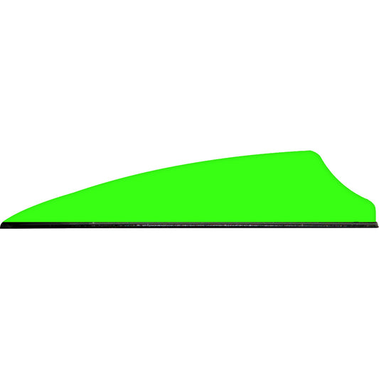 245794008.jpg