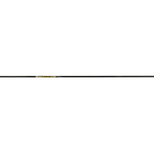 245794288.jpg