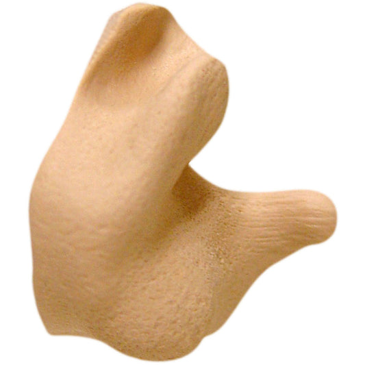 245801732.jpg
