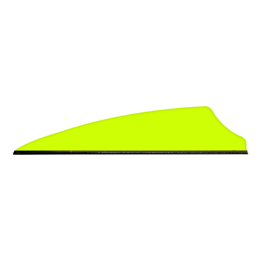 245805305.jpg