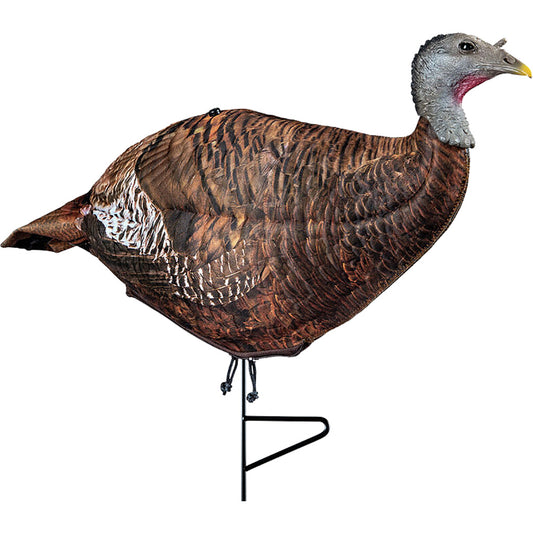245807856.jpg