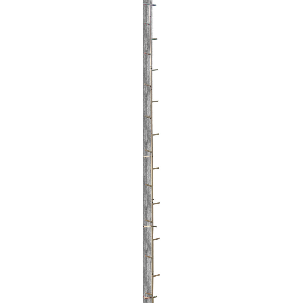 245811139.jpg