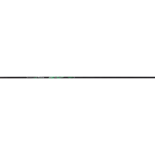 245812790.jpg