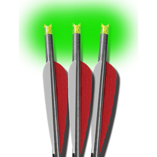 310845043.jpg