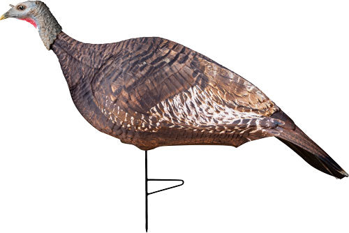 248734708.jpg