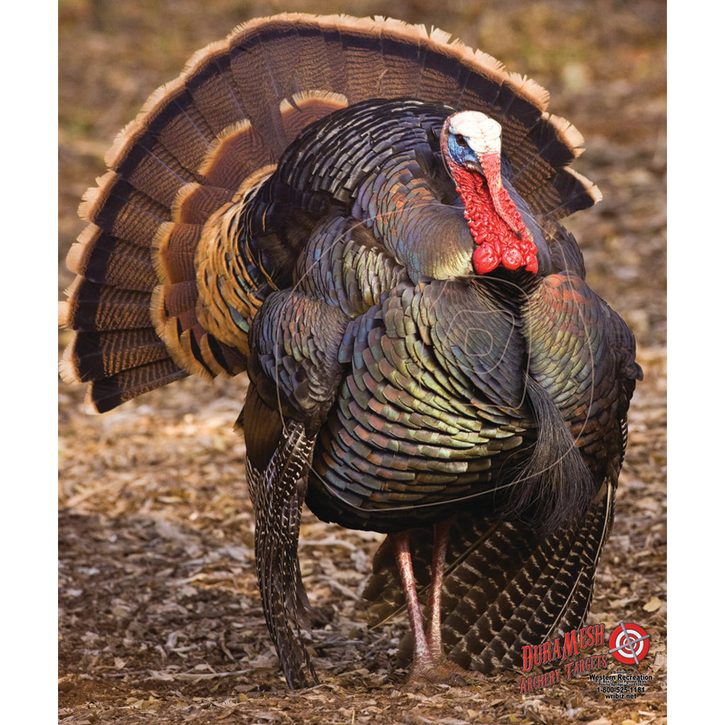 DuraMesh Archery Target Turkey 3 32 in. x 25 in.
