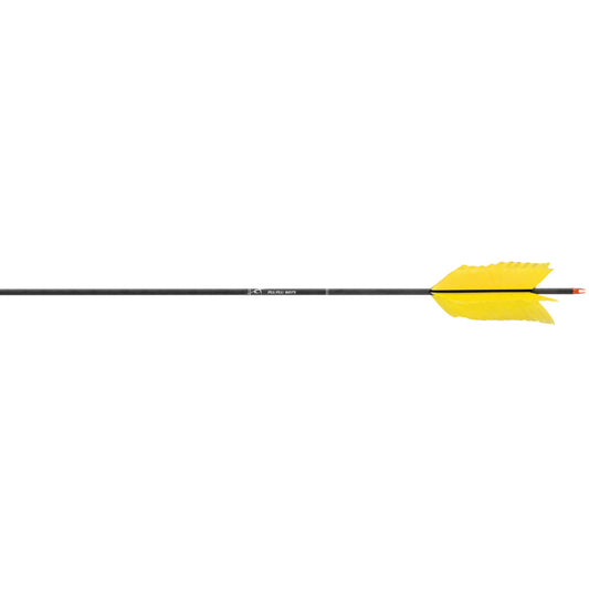 8.1E+11_47884073631995