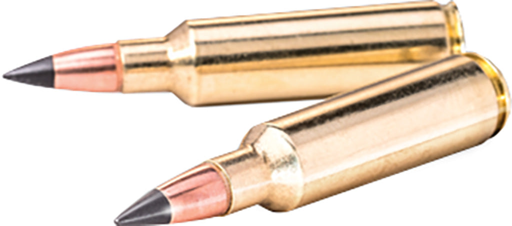 Winchester Deer Season Bullet 270 Cal 130 gr. XP 100 bx.