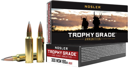 NOSLER TROPHY GRADE LR 300 WM