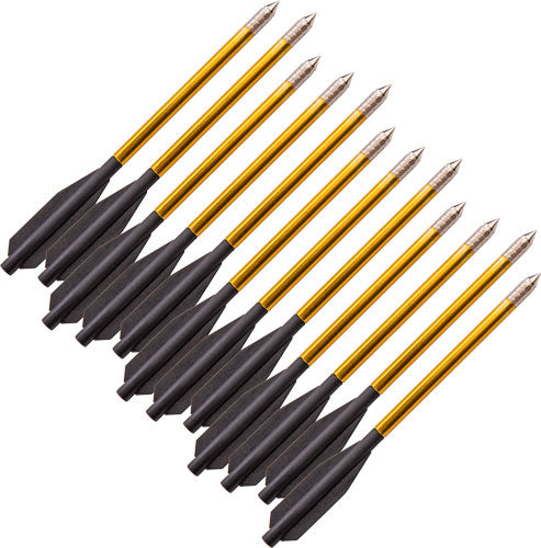 8.16E+11_47799820222715