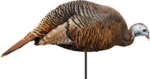 MONTANA DECOY TURKEY HEN